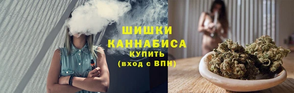 дживик Липки