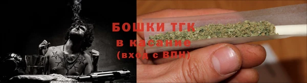 дживик Липки