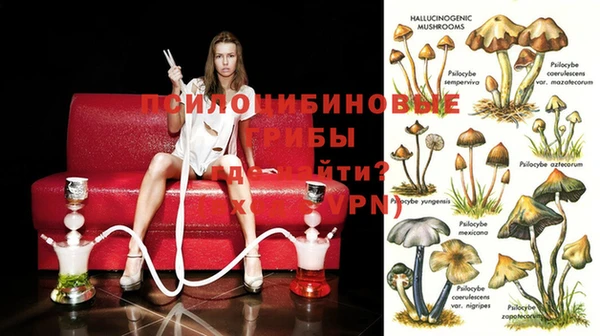 mdpv Лиски