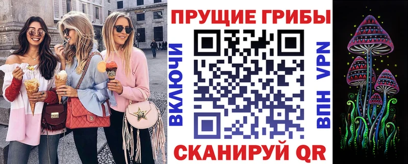 наркошоп  Оха  Псилоцибиновые грибы Cubensis 